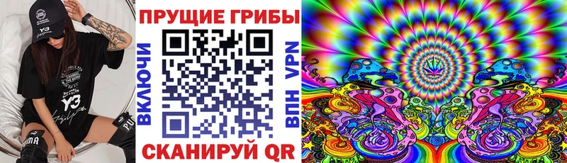 Галлюциногенные грибы ЛСД  гидра tor  Бокситогорск 